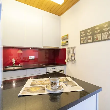 True 8 Appartamento Scuol